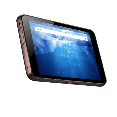Защищенный планшет Bluebird RT080